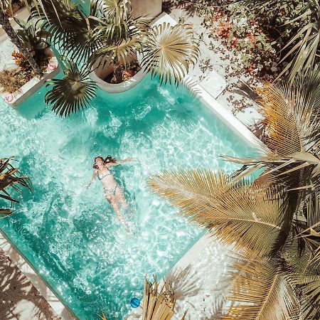 Hotel Buenavista Bacalar Jungle Experience Εξωτερικό φωτογραφία