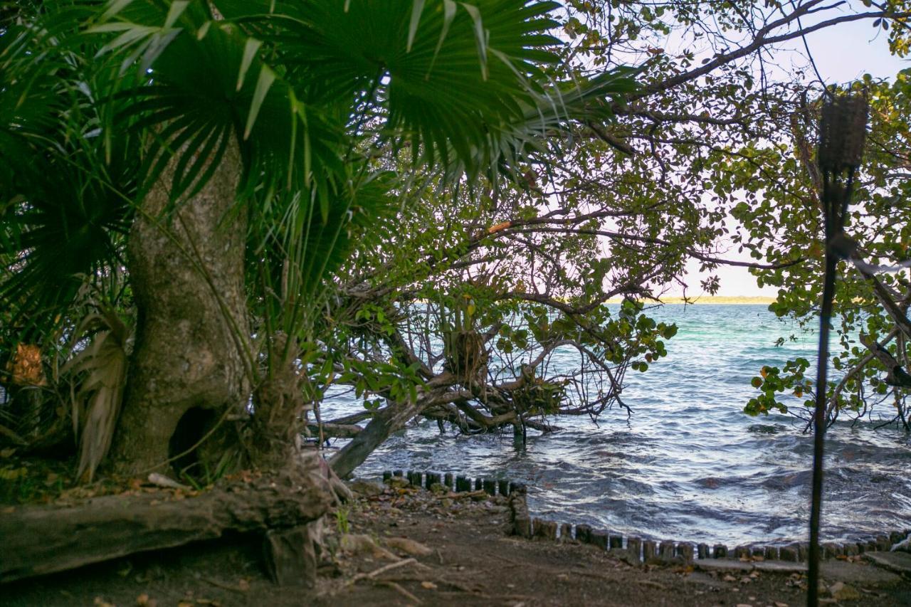 Hotel Buenavista Bacalar Jungle Experience Εξωτερικό φωτογραφία