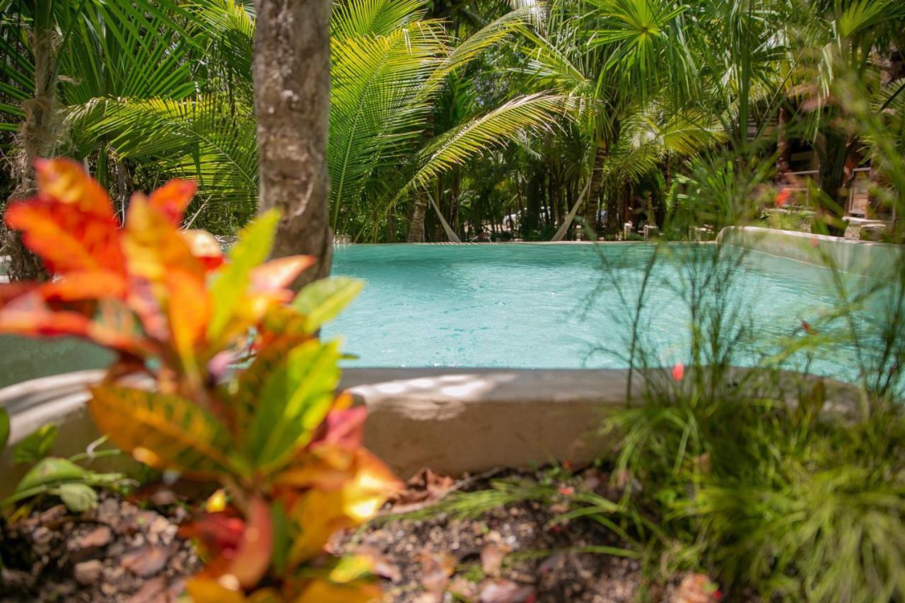 Hotel Buenavista Bacalar Jungle Experience Εξωτερικό φωτογραφία