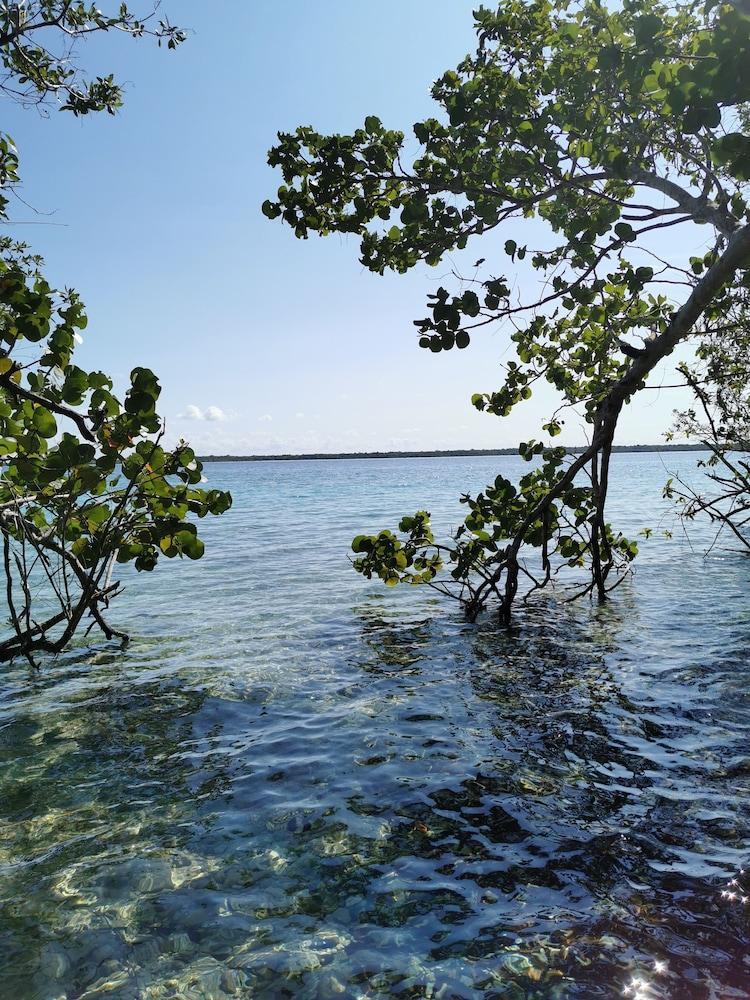 Hotel Buenavista Bacalar Jungle Experience Εξωτερικό φωτογραφία